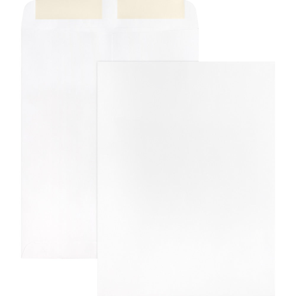 Image of Business Source Catalog Envelopes, Plain, 28Lb., 9"x12", 250/BX, WE