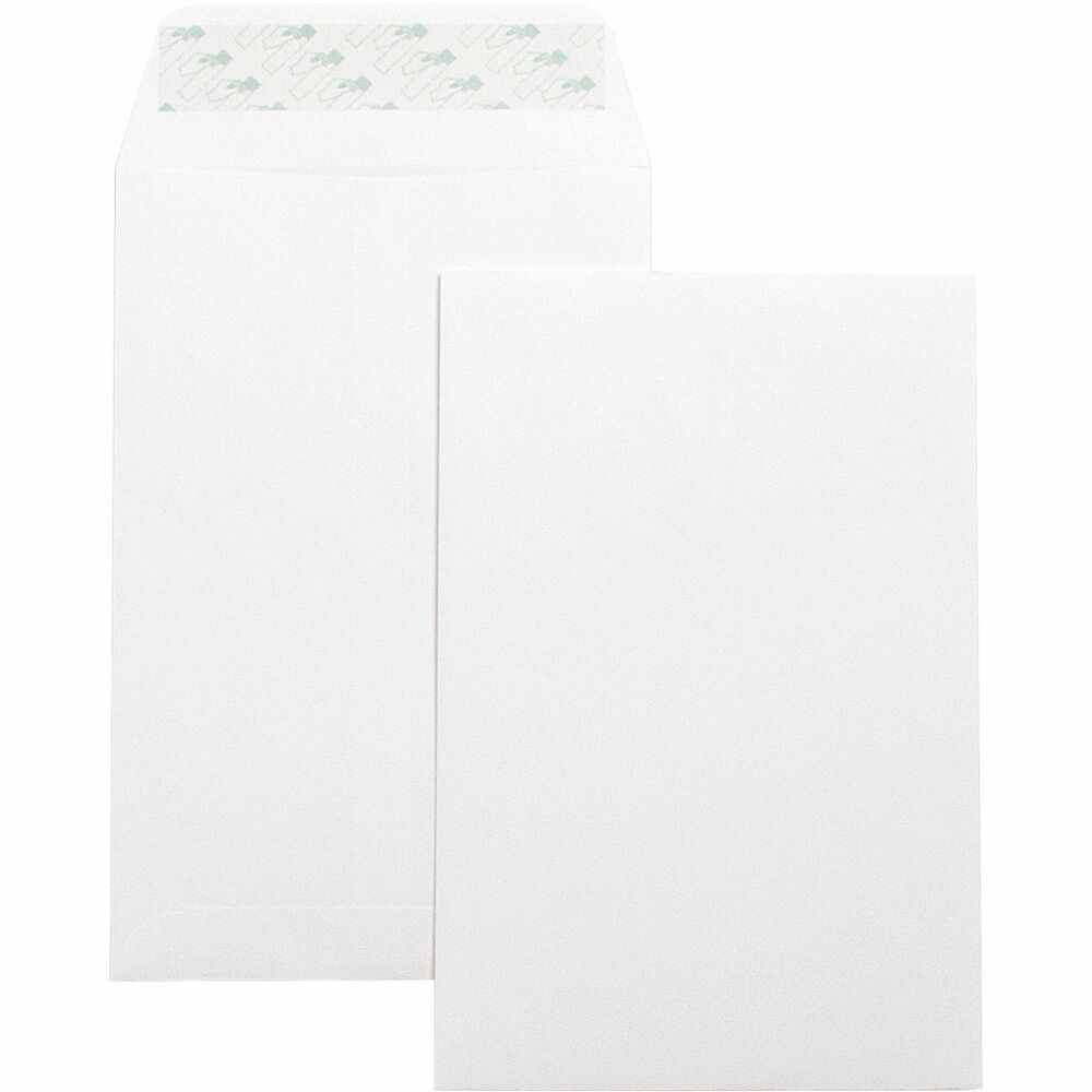 Image of Business Source Catalog Envelopes,Self Seal,Plain,6"x9",100/BX,White Wove