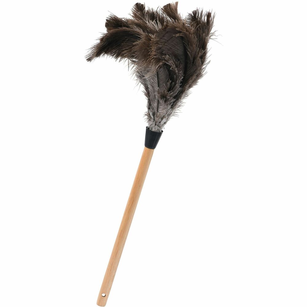 Image of Tatco Duster,Ostrich Feather,Wood Handle,12" Handle,23"L,BN
