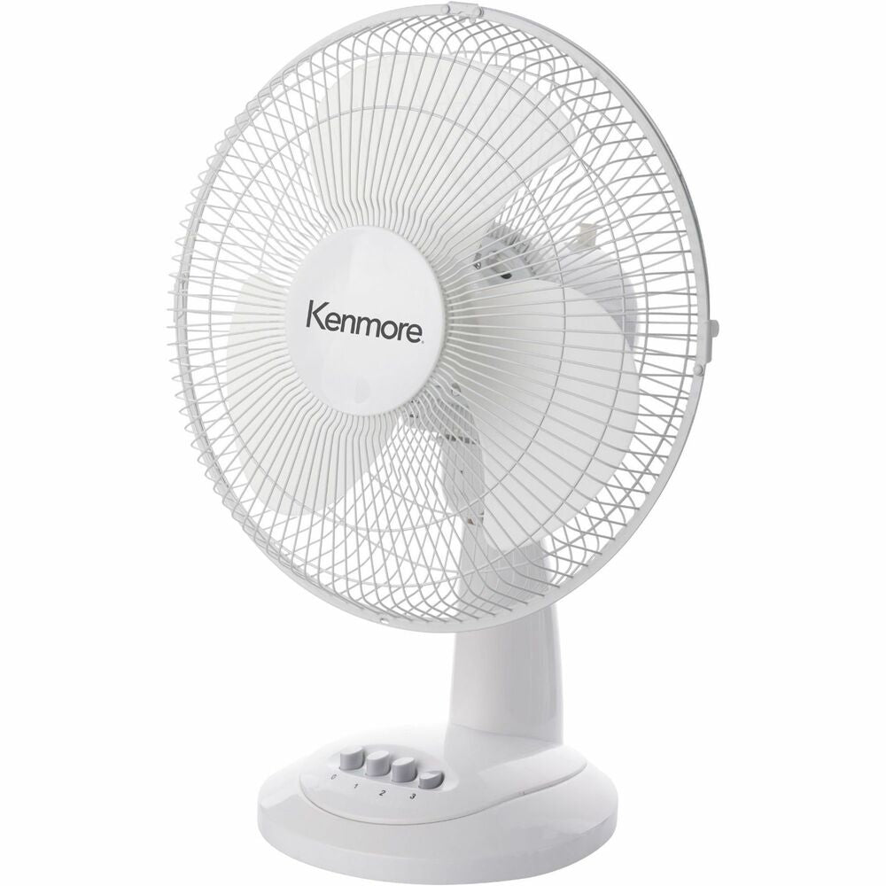 Image of ESM Fan,Desk,Oscillating,3 Speeds,12",WE