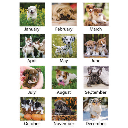 Image of AT-A-GLANCE® Puppies Monthly Desk Pad Calendar, Puppies Photography, 22 x 17, White Sheets, Clear Corners, 12-Month (Jan to Dec): 2025