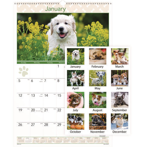 Image of AT-A-GLANCE® Puppies Monthly Wall Calendar, Puppies Photography, 15.5 x 22.75, White/Multicolor Sheets, 12-Month (Jan to Dec): 2025
