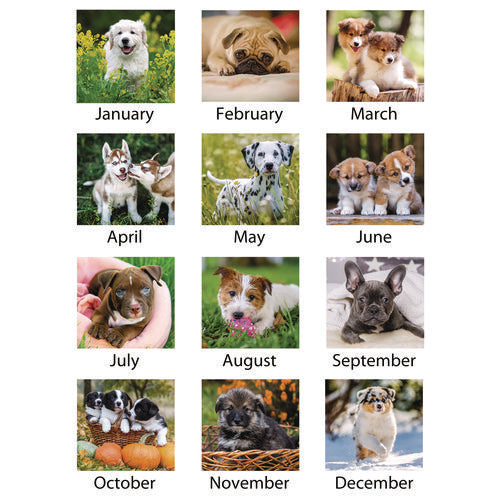 Image of AT-A-GLANCE® Puppies Monthly Wall Calendar, Puppies Photography, 15.5 x 22.75, White/Multicolor Sheets, 12-Month (Jan to Dec): 2025