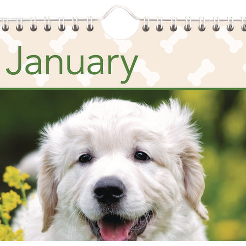 Image of AT-A-GLANCE® Puppies Monthly Wall Calendar, Puppies Photography, 15.5 x 22.75, White/Multicolor Sheets, 12-Month (Jan to Dec): 2025