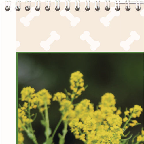 Image of AT-A-GLANCE® Puppies Monthly Wall Calendar, Puppies Photography, 15.5 x 22.75, White/Multicolor Sheets, 12-Month (Jan to Dec): 2025