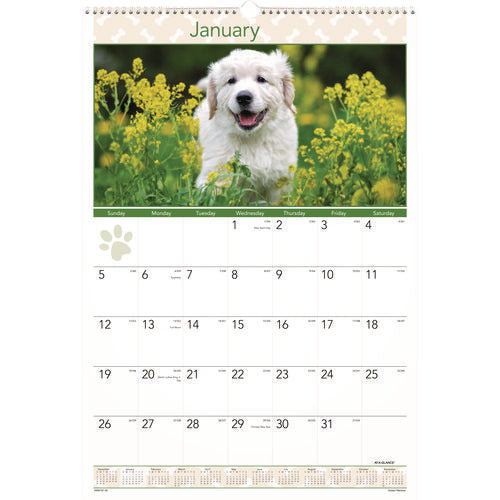 Image of AT-A-GLANCE® Puppies Monthly Wall Calendar, Puppies Photography, 15.5 x 22.75, White/Multicolor Sheets, 12-Month (Jan to Dec): 2025