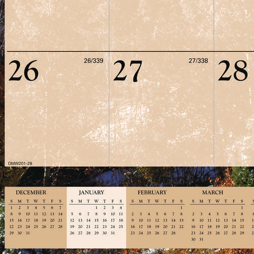 Image of AT-A-GLANCE® Scenic Monthly Wall Calendar, Landscape Photography, 15.5 x 22.75, White/Multicolor Sheets, 12-Month (Jan-Dec): 2025