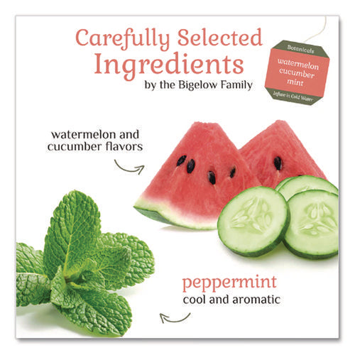 Image of Bigelow® Botanicals Watermelon Cucumber Mint Cold Water Herbal Infusion, 0.7 Oz Tea Bag, 18/box
