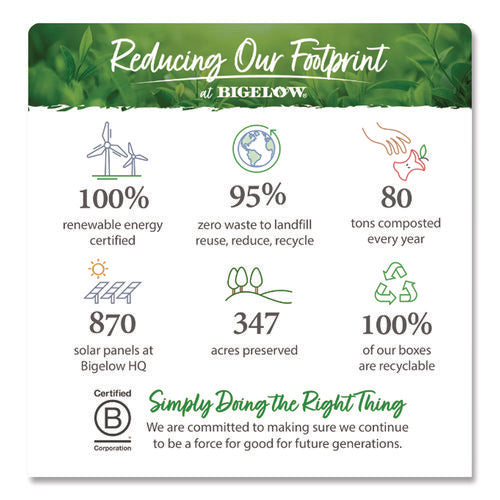 Image of Bigelow® Botanicals Watermelon Cucumber Mint Cold Water Herbal Infusion, 0.7 Oz Tea Bag, 18/box