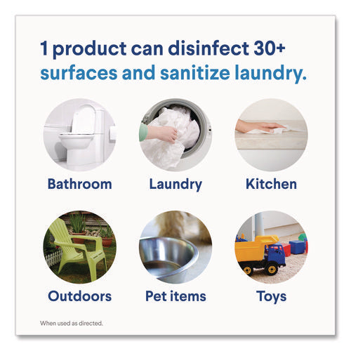 Image of Clorox® Concentrated Regular Disinfecting Bleach, 24 oz Bottle, 12/Carton