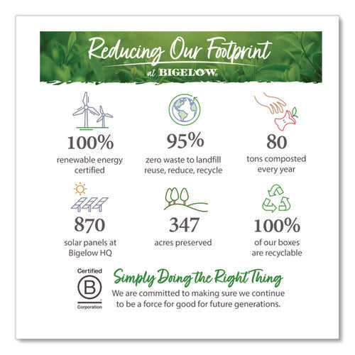 Image of Bigelow® Apple Cinnamon Herbal Tea, 0.09 Tea Bag, 28/box