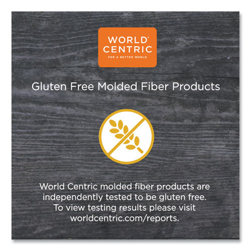 Image of World Centric® Fiber Trays, PLA Lined, PFAS Free, 8.2 x 5.7 x 0.7, Natural, Paper, 500/Carton