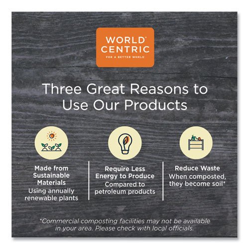 Image of World Centric® TPLA Compostable Cutlery, Spoon, Plastic, White, 1,000/Carton