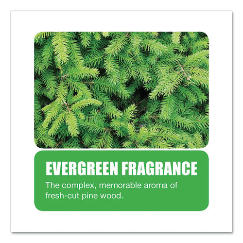 Image of Big D Industries Extra Duty Urinal Screen With Non-Para Block, Evergreen With Enzymes Scent, White, Dozen