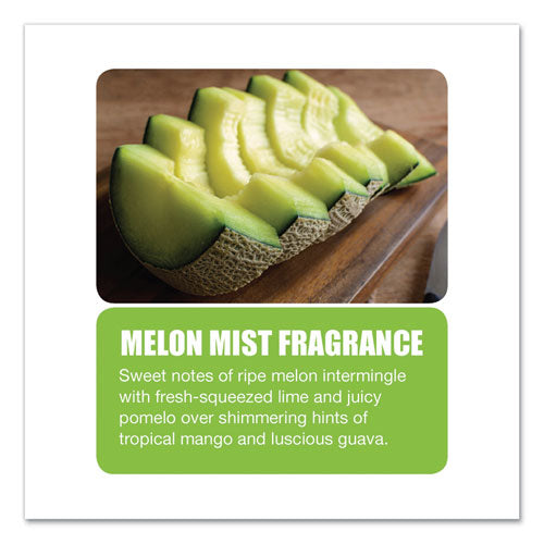 Image of Big D Industries Diamond 3d Urinal Screen, Melon Mist Scent, Clear, 10/pack, 6 Packs/carton