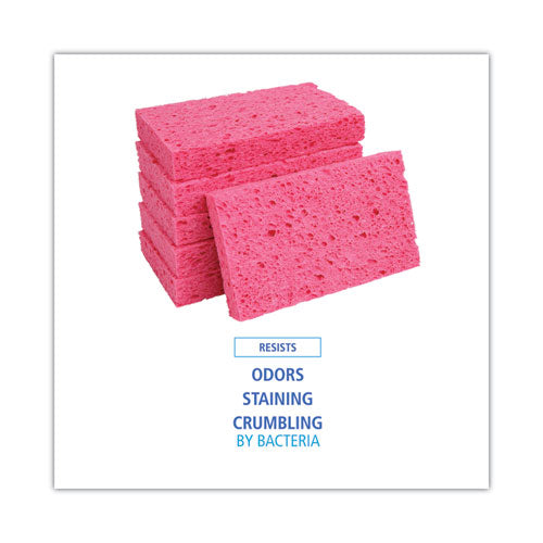 Image of Boardwalk® Small Cellulose Sponge, 3.6 X 6.5, 0.9" Thick, Pink, 2/pack, 24 Packs/carton