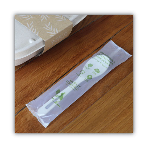 Image of World Centric® TPLA Compostable Cutlery, Spoon, Plastic, White, 750/Carton