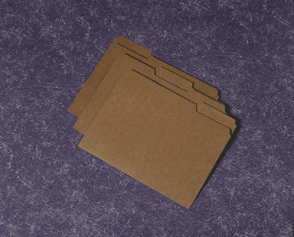 Image of File Folder, Medium, 1/3 Cut, Letter