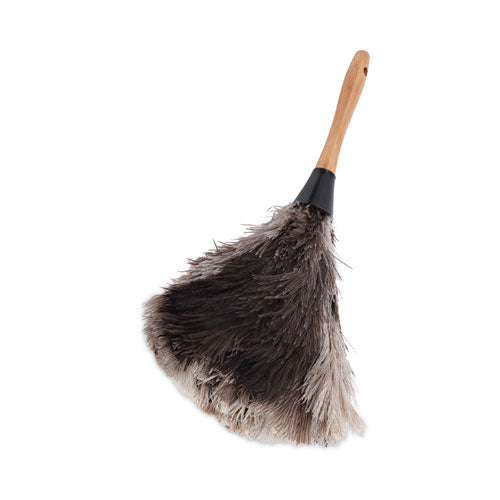 Image of Boardwalk® Professional Ostrich Feather Duster, 7" Wood Handle