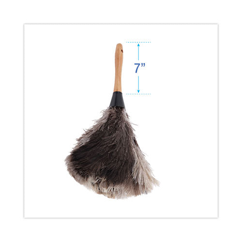 Image of Boardwalk® Professional Ostrich Feather Duster, 7" Wood Handle