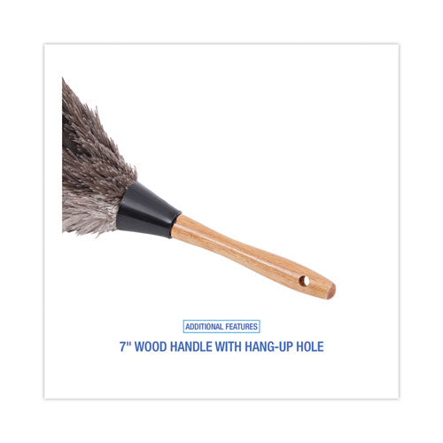 Image of Boardwalk® Professional Ostrich Feather Duster, 7" Wood Handle