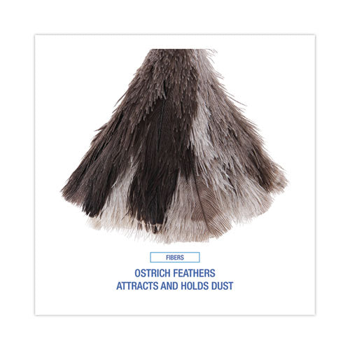 Image of Boardwalk® Professional Ostrich Feather Duster, 7" Wood Handle