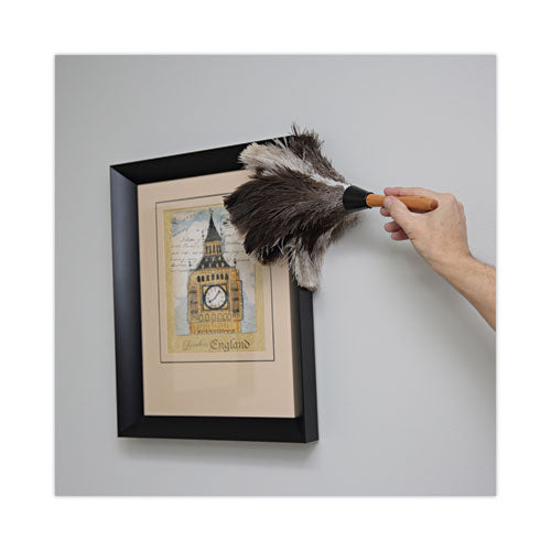 Image of Boardwalk® Professional Ostrich Feather Duster, 7" Wood Handle