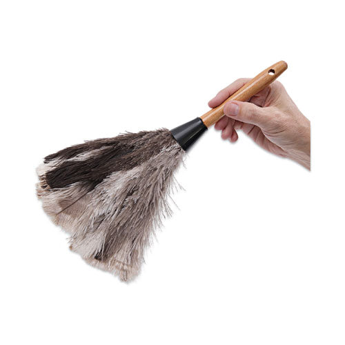 Image of Boardwalk® Professional Ostrich Feather Duster, 7" Wood Handle