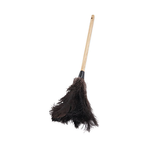 Image of Boardwalk® Professional Ostrich Feather Duster, 10" Wood Handle