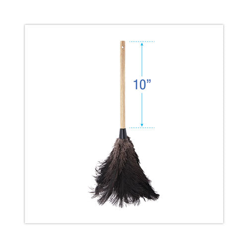 Image of Boardwalk® Professional Ostrich Feather Duster, 10" Wood Handle