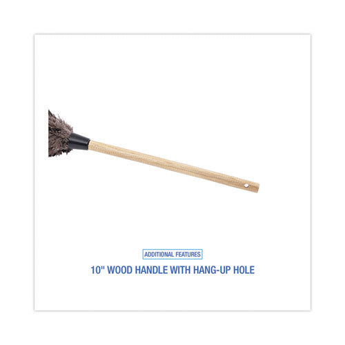 Image of Boardwalk® Professional Ostrich Feather Duster, 10" Wood Handle