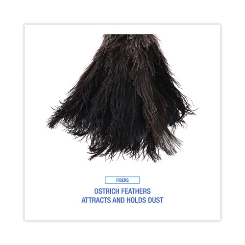 Image of Boardwalk® Professional Ostrich Feather Duster, 10" Wood Handle
