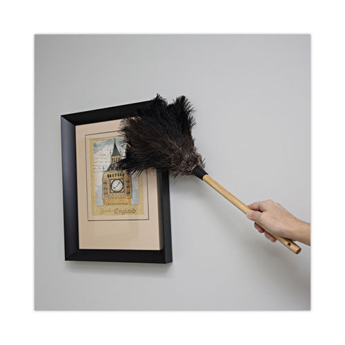 Image of Boardwalk® Professional Ostrich Feather Duster, 10" Wood Handle