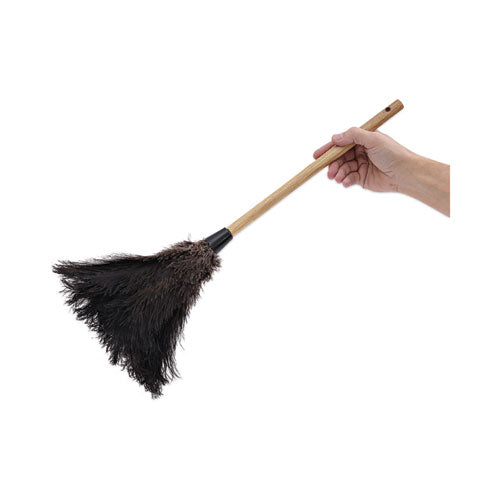 Image of Boardwalk® Professional Ostrich Feather Duster, 10" Wood Handle