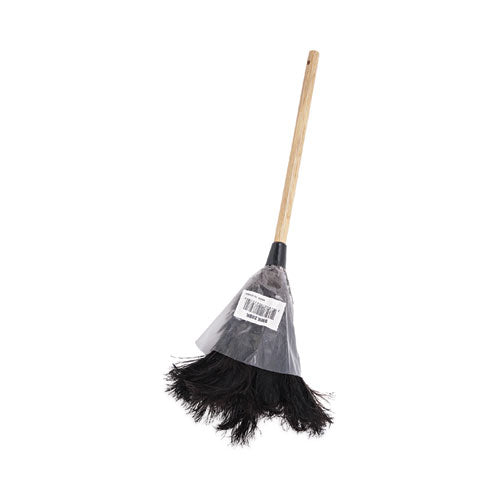 Image of Boardwalk® Professional Ostrich Feather Duster, 10" Wood Handle