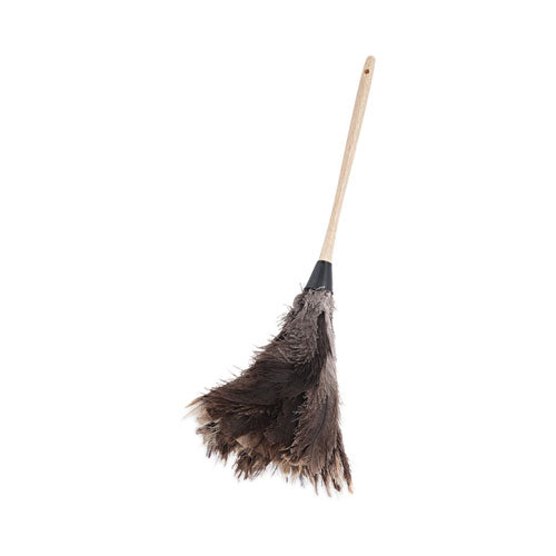 Image of Boardwalk® Professional Ostrich Feather Duster, 13" Wood Handle