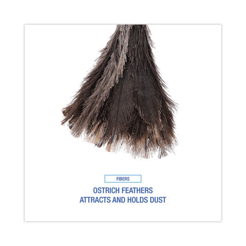 Image of Boardwalk® Professional Ostrich Feather Duster, 13" Wood Handle