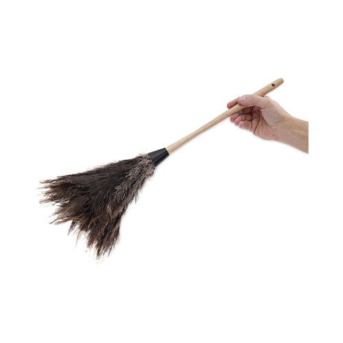 Image of Boardwalk® Professional Ostrich Feather Duster, 13" Wood Handle