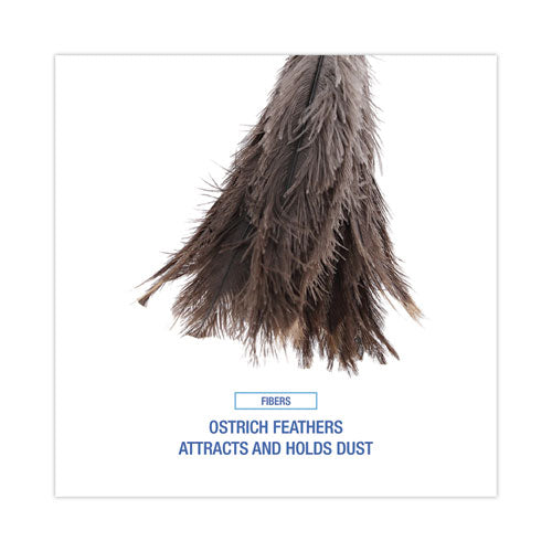 Image of Boardwalk® Professional Ostrich Feather Duster, 16" Wood Handle, 12" Gray Bristle