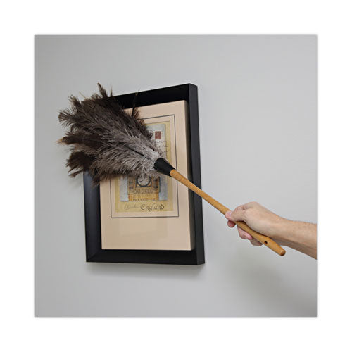 Image of Boardwalk® Professional Ostrich Feather Duster, 16" Wood Handle, 12" Gray Bristle