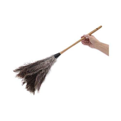 Image of Boardwalk® Professional Ostrich Feather Duster, 16" Wood Handle, 12" Gray Bristle