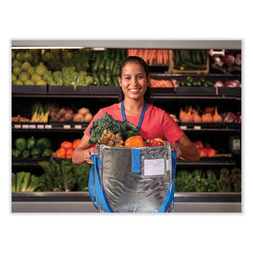 Image of PackIt® Fresh Eco Freeze Tote, (2) Blue Nylon Shoulder Straps, (2) Blue Nylon Strap Handles, 13.5" x 9" x 13", Silver/Blue, 4/Carton