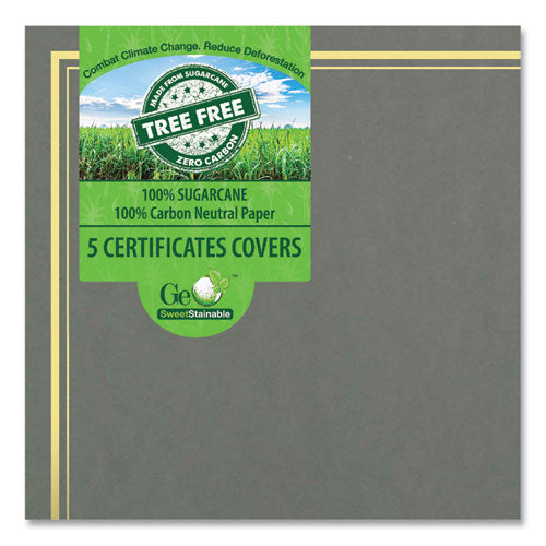 Image of Geographics® Certificate/Document Cover, 9.75" x 12.5", Gray With Gold Foil, 5/Pack