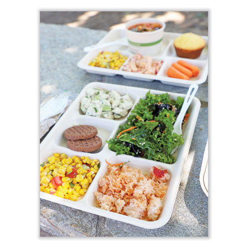 Image of World Centric® Fiber Trays, 5 Compartments, 8.5 x 10.24 x 1.01, Natural, Paper, 400/Carton