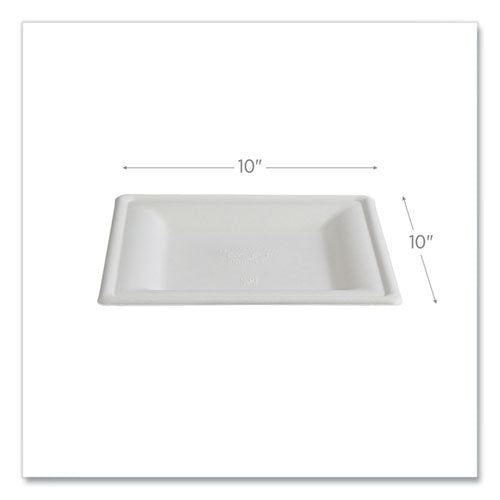 Image of Eco-Products® Vanguard Renewable and Compostable Sugarcane Plates, 10 x 10, White, 250/Carton