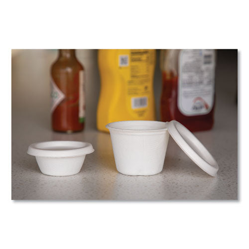 Image of Eco-Products® Vanguard Renewable and Compostable Sugarcane Portion Cups, 2 oz, White, 2,500/Carton
