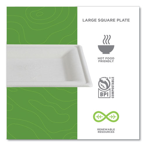 Image of Eco-Products® Vanguard Renewable and Compostable Sugarcane Plates, 10 x 10, White, 250/Carton