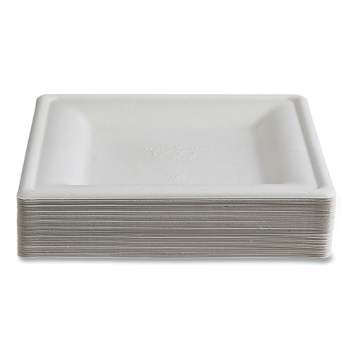 Image of Eco-Products® Vanguard Renewable and Compostable Sugarcane Plates, 10 x 10, White, 250/Carton