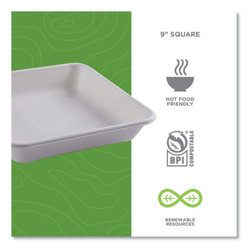 Image of Eco-Products® Vanguard Worldview Renewable and Compostable Sugarcane Take-Out Containers, 47 oz, 9 x 9 x 1.5, White, 200/Carton