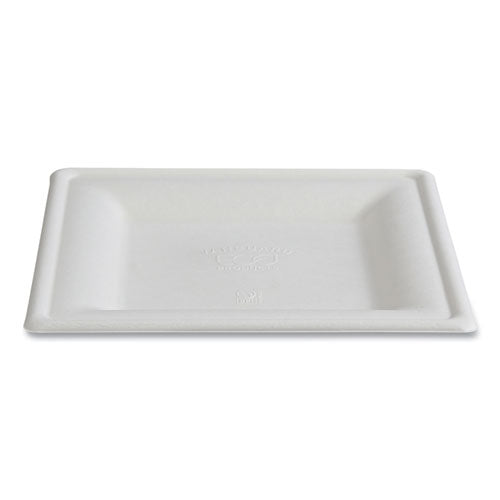 Image of Eco-Products® Vanguard Renewable and Compostable Sugarcane Plates, 10 x 10, White, 250/Carton